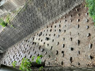綺麗になりました