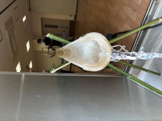 画像の説明